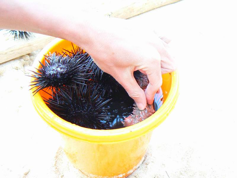 ���к���