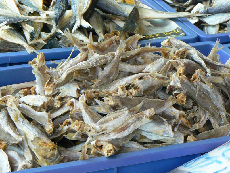 δ���꺣������