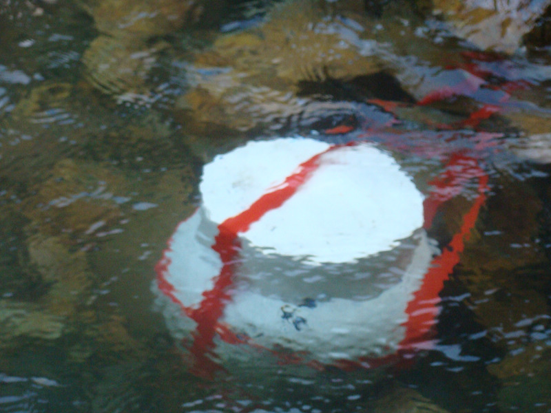 Ϫˮ��������