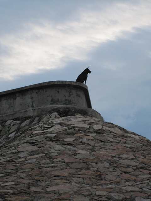 ����һ��Ŀ��,����˵��������,����009