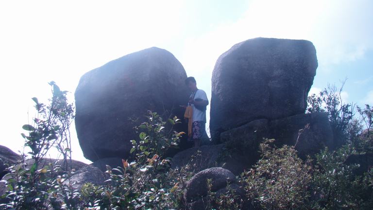 С�����������ɣ�����