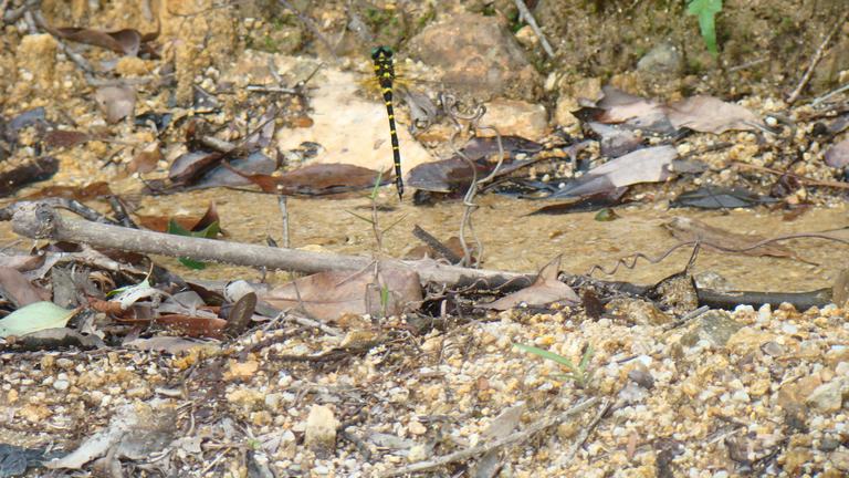 �ս�ɽ����  �Ϳ������ϴ������