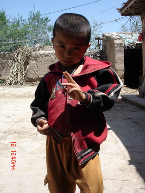 һ�꼶�ĸ������ͣ��������¡������һ��