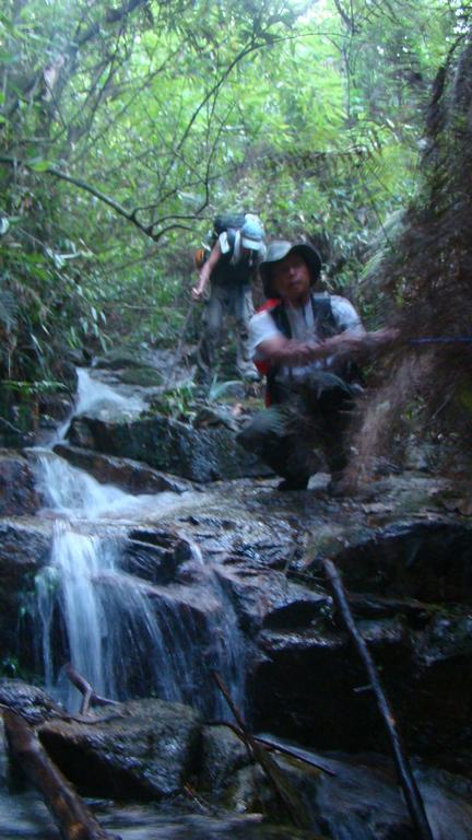 ������  ������