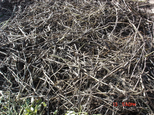 ����Ϊ����һ����������ʵ���Ǵ��붹������ֻ��һ��㡣