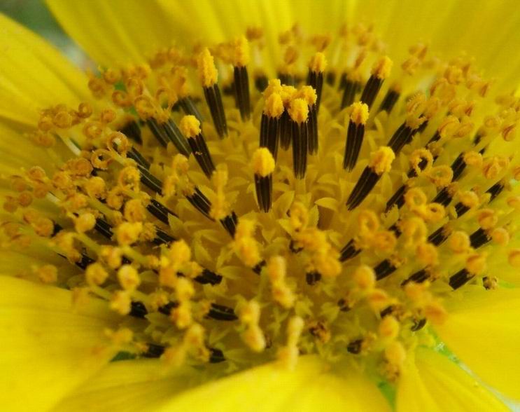 ������С ���տ�1.jpg