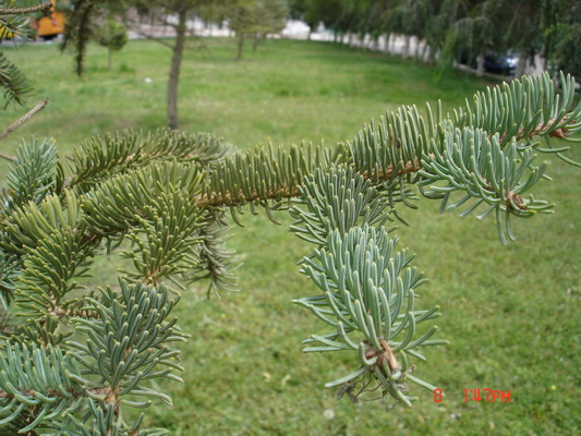 ���ǵ������ڼ��������̻�ֲ���ء�