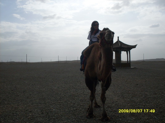 ���ҿ˷�������������ʱ��ͻȻ�ر�������Щ�����ڴ�Į�����ӡ��ֲ��ô󲿷ֵĹŴ�Ӣ�۶��ǲ�����޵ġ�