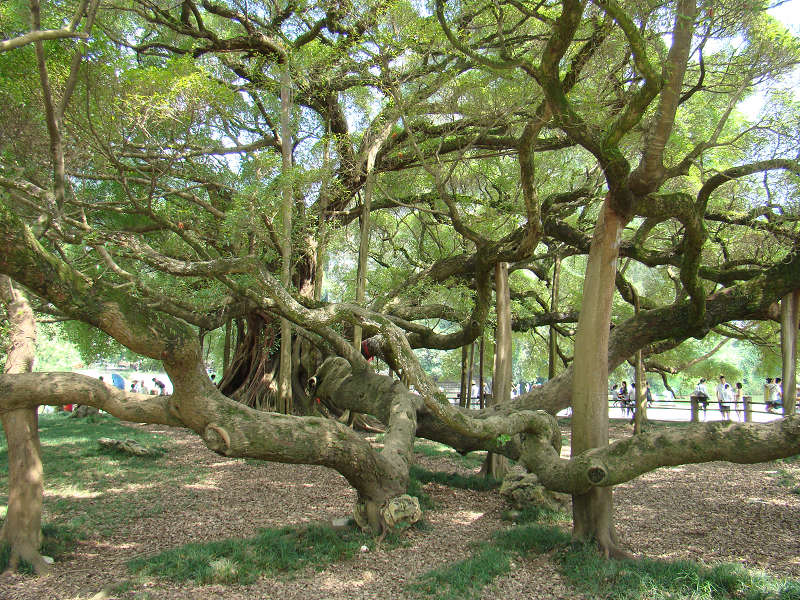 ������ʾӡ���������