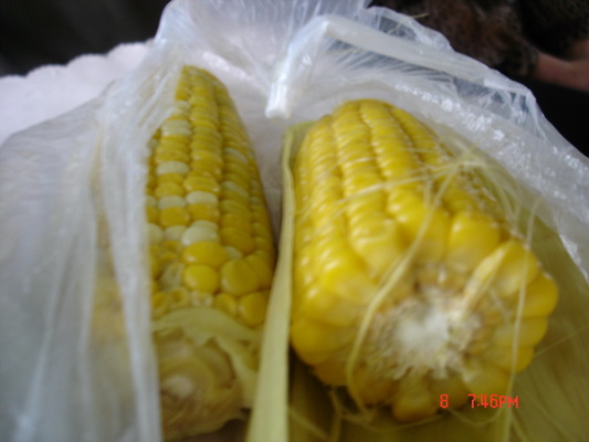 ���ѵļ��������ף����𣬹㶫�򲻵��ġ�