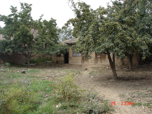 ����ס�ķ���