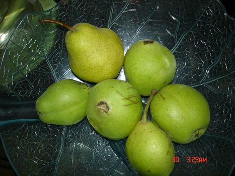 �Ȱ��涼�Եò���ʱ�������������Ƭ�����ڼ��ﻹ�м�����