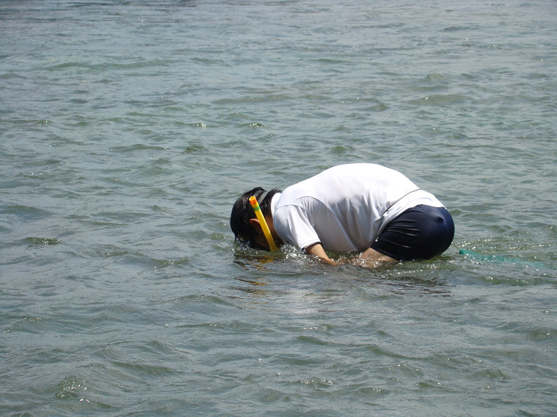 �콭�ϵ�������1