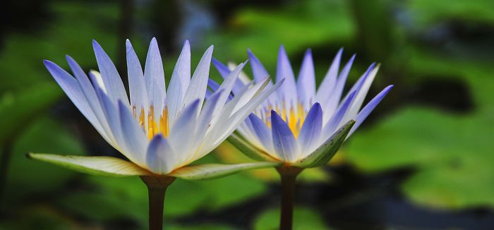 nEO_IMG_��Ƭ 060.jpg