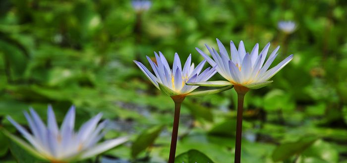 nEO_IMG_��Ƭ 059.jpg