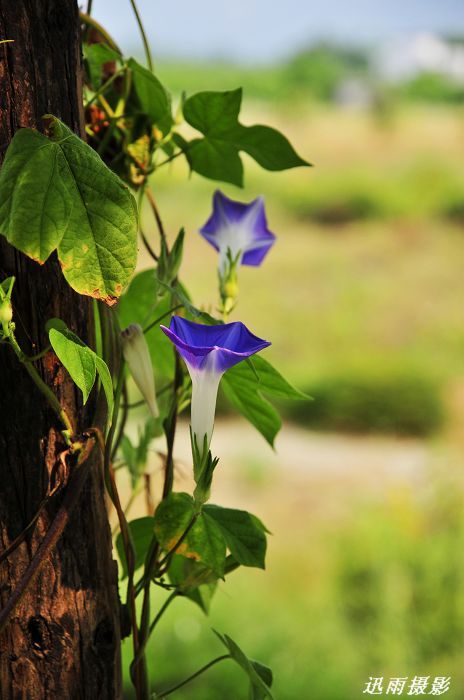 nEO_IMG_��Ƭ 034.jpg