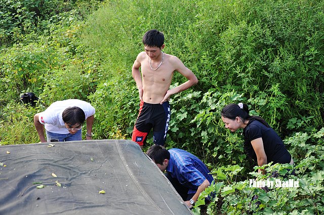 ����Ұ��