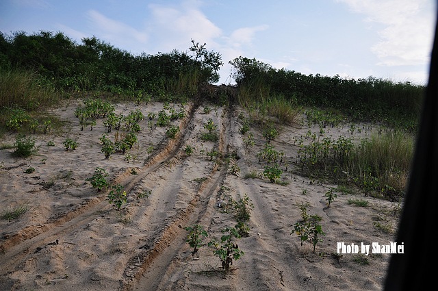 �����ղų������Ķ���