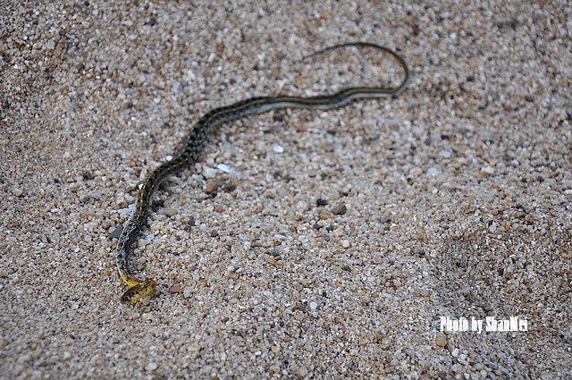 ɳ̲Ҳ���ߣ���ô�ȵ�����ô�