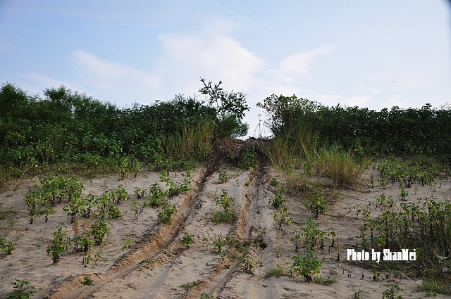 ����δ��