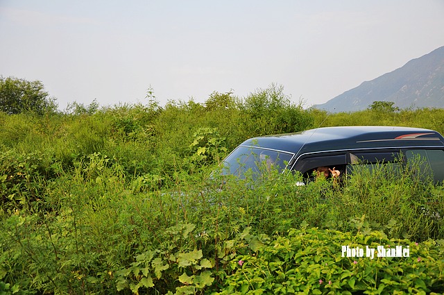 ��ͷ�ģ����Ѿ�û������