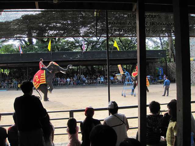 ��Ͷ������