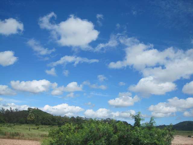 ������������Ư������