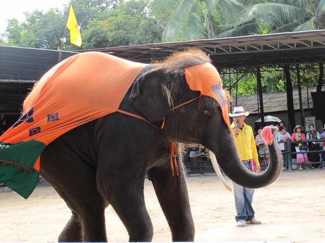 ��Ͷ���а�