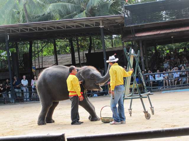 �һ��һ��һ�����