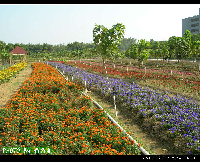 �ϴ�ȥ�Ÿո����£������ʢ��