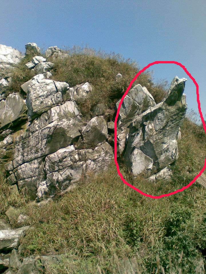 ������������