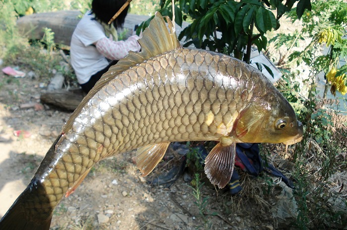 7.5���ص����㣬��˵����С��ץ��