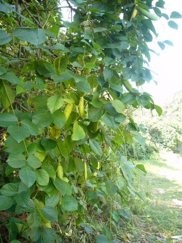 ��������ʲô�����Ƕ�����һ�����ķɳ�