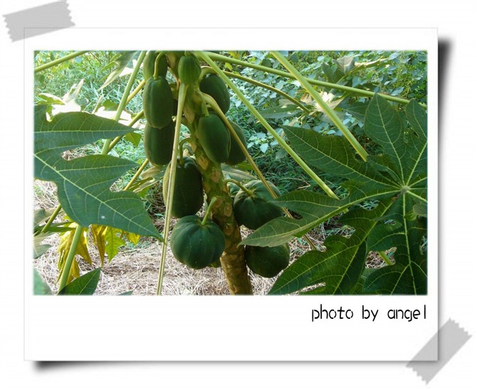 ���漸�������Ϲ�Ŷ