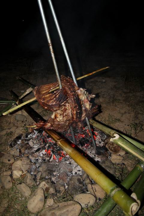 ������С IMG_1675.JPG