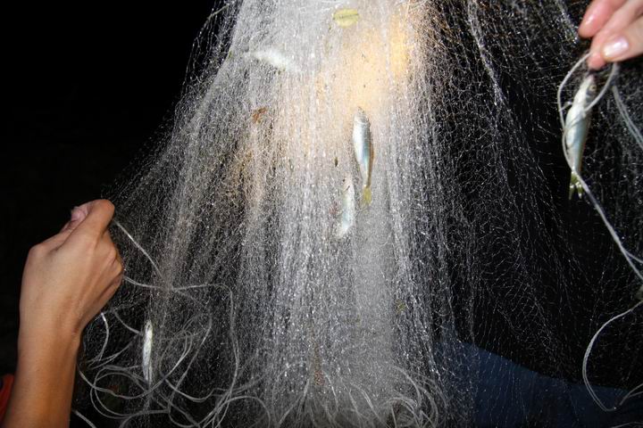 ������С IMG_1616.JPG