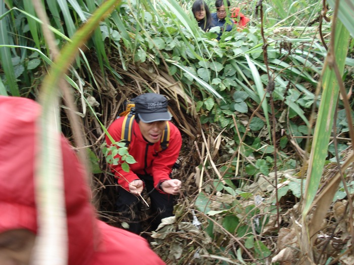 �ճ�ɽ����