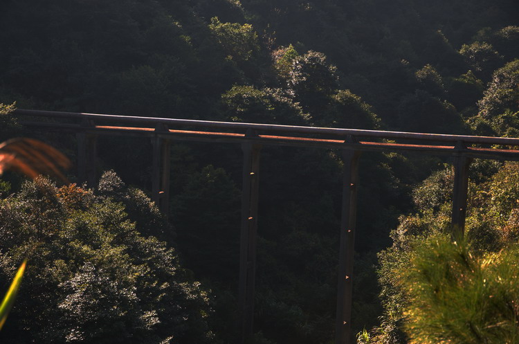 Զ������һ���ţ���������˹�����Ӱ���š�