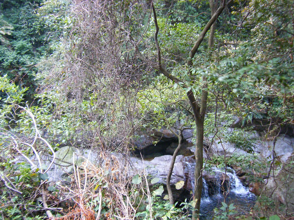 ɽ���ڸߣ���ˮ����