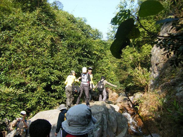 ����ǰ��