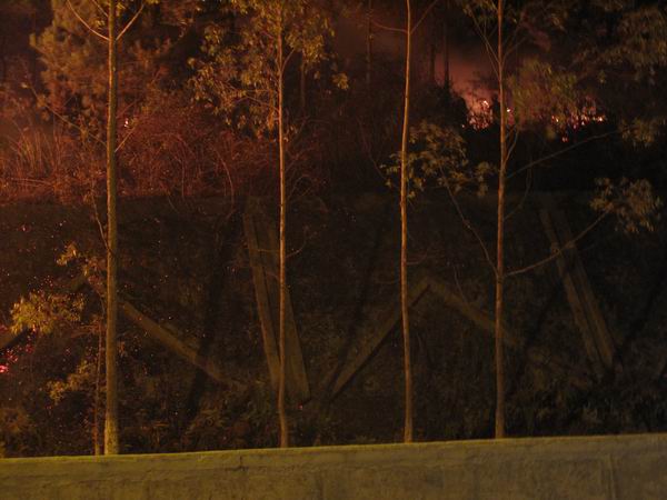 ������С IMG_0908.JPG