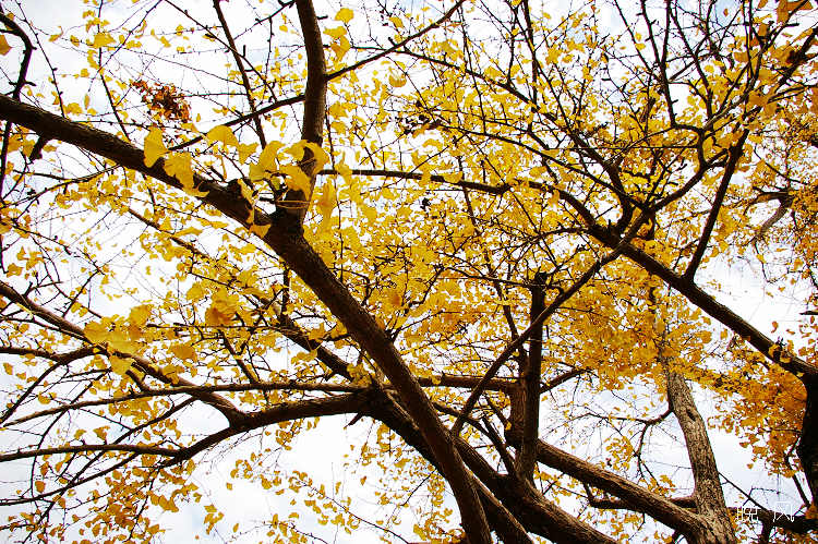 ǧ����ӣ�������ô����