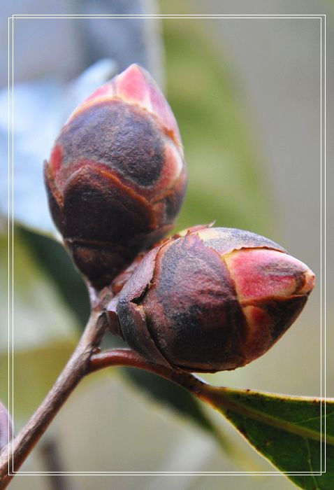 nEO_IMG_������ɽ�� 1.jpg