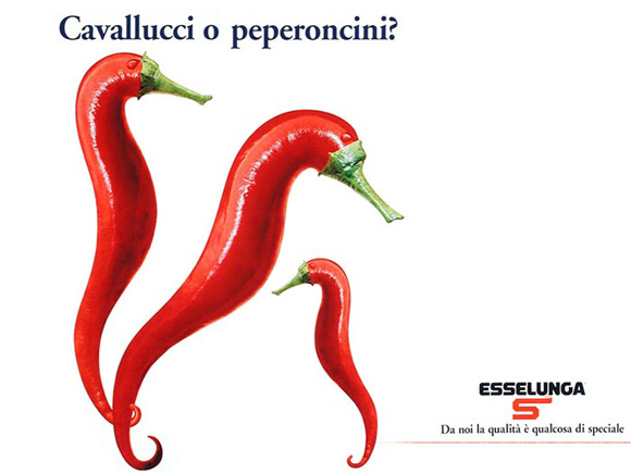 ������ һ�ֺ��׵Ķ��.jpg