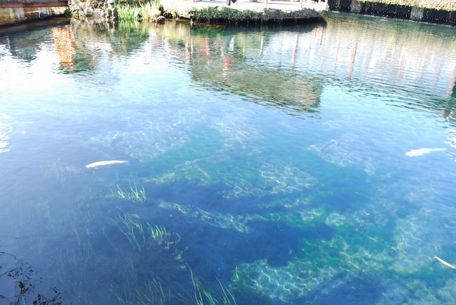 ������С DSC_0182.JPG