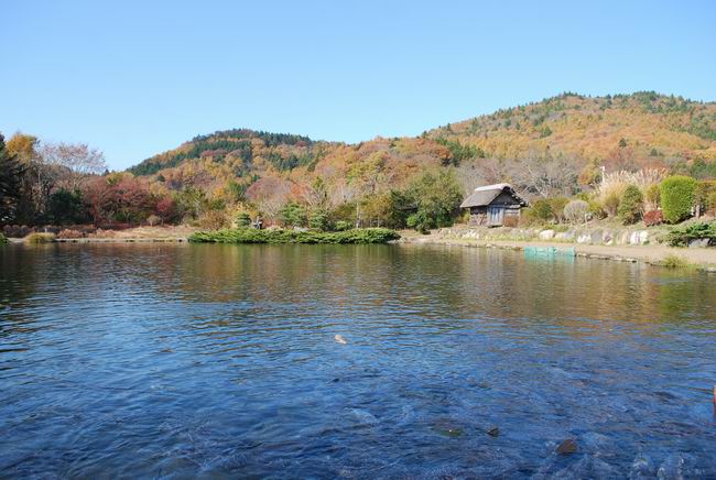 ������С DSC_0212.JPG