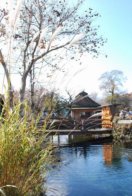 ��Ϊ��Ұ�˺����ձ�ũ�ҡ�