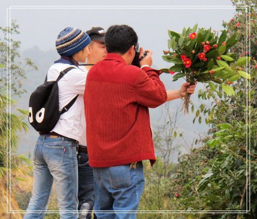 �������е�ɽ�軨���� (16).jpg