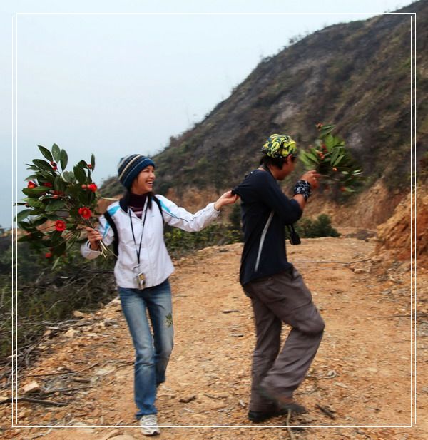 ���ǣ����벻����