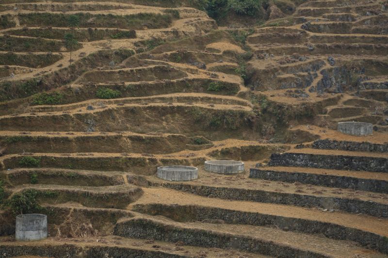 �ڳ�������